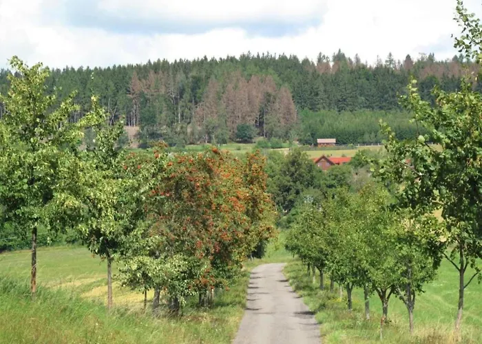 In Near Forest And Pool