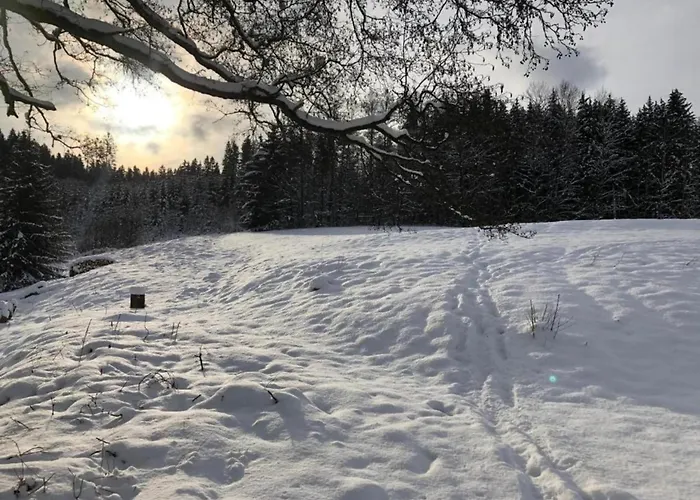 Апартаменты In Near Forest And Pool