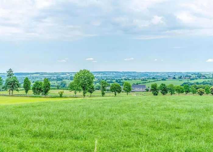 In Near Forest And Pool Nemojov